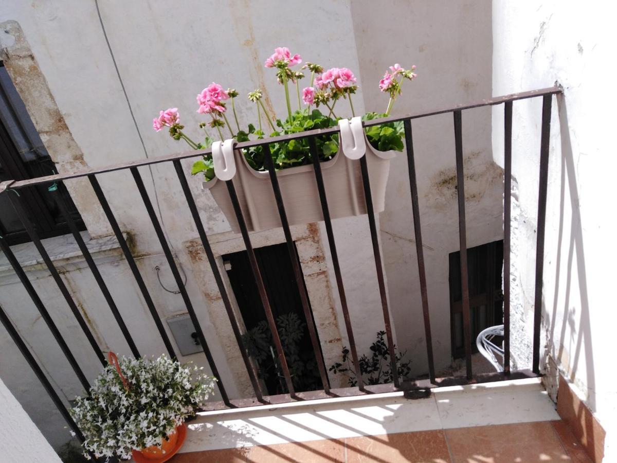 Rosa'S House Villa Conversano Exterior photo